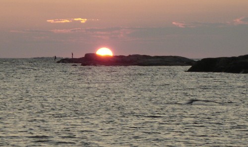 DSC00062_web500
